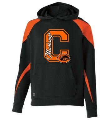 Color Block Hooded Sweatshirt Block C Logo